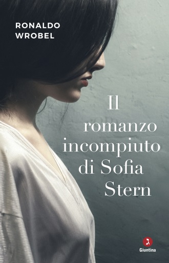 il-romanzo-incompiuto-di-sofia-stern